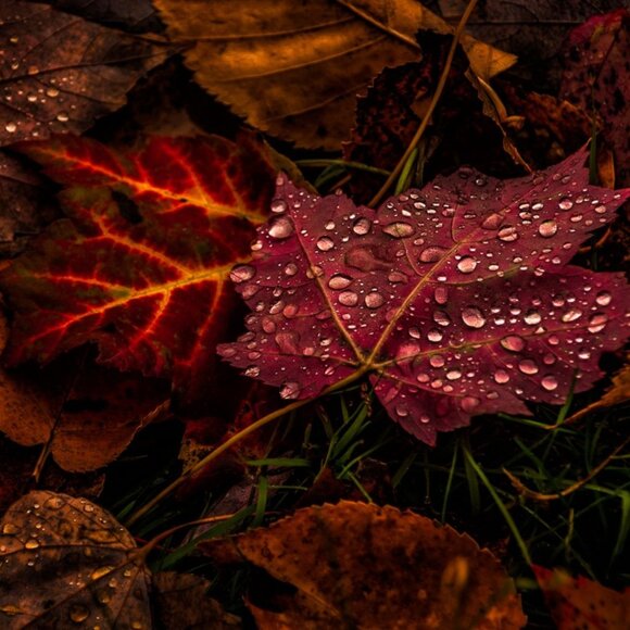 Artisan Sterling Silver Necklace with Garnet - Picture 3 of 10